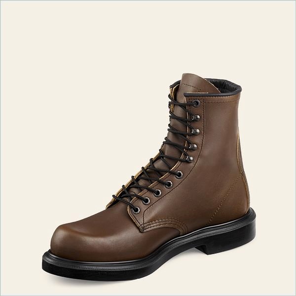  SuperSole Men's 8-inch Soft Toe Boot