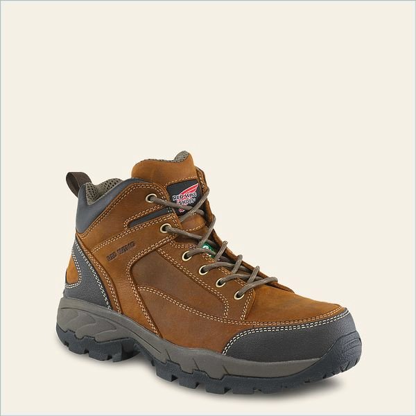  TruHiker Men's 5-inch CSA Safety Toe Hiker Boot