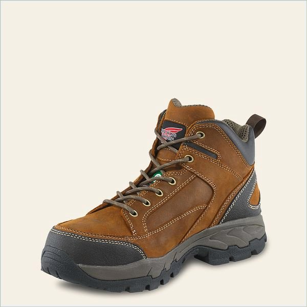  TruHiker Men's 5-inch CSA Safety Toe Hiker Boot