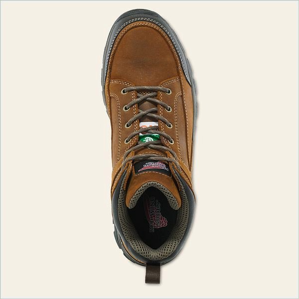  TruHiker Men's 5-inch CSA Safety Toe Hiker Boot