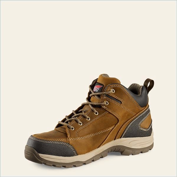  TruHiker Men's 5-inch Safety Toe Hiker Boot