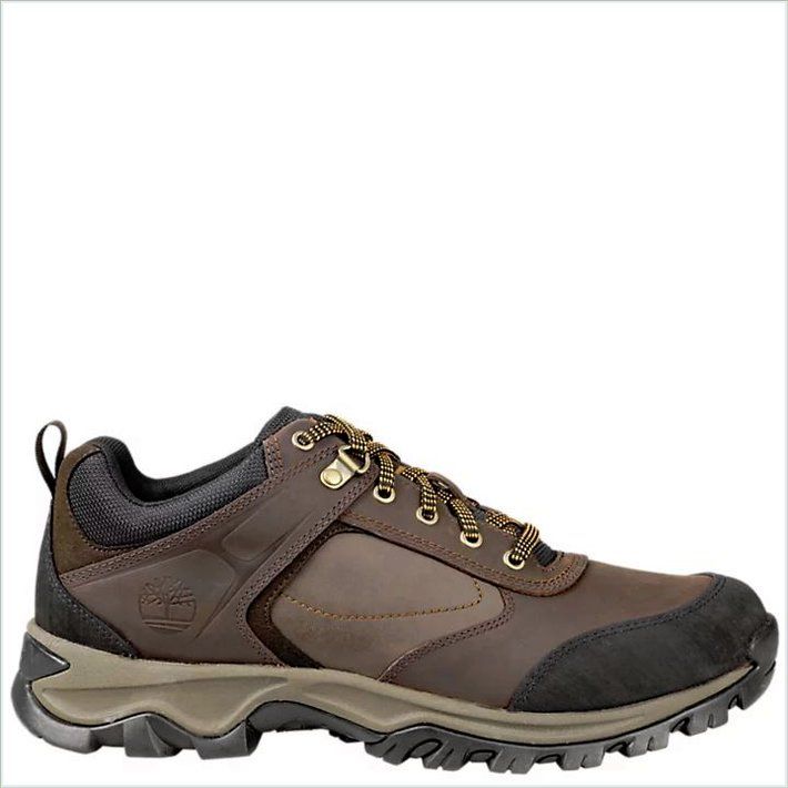  TIMBER Mens Mt. Maddsen Low Hiking Shoes