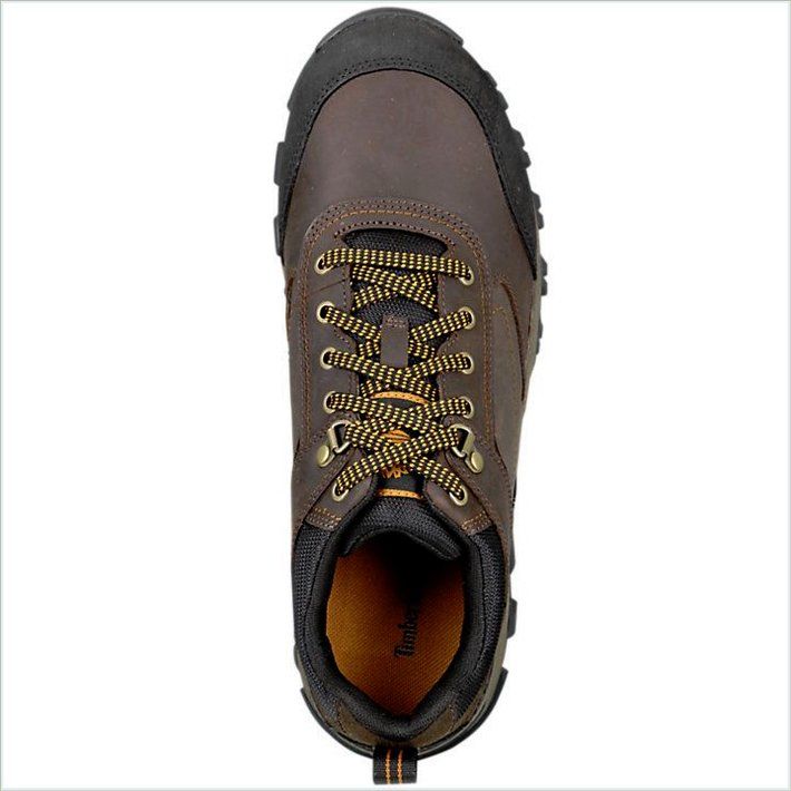  TIMBER Mens Mt. Maddsen Low Hiking Shoes