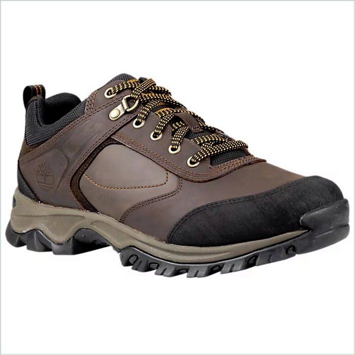  TIMBER Mens Mt. Maddsen Low Hiking Shoes