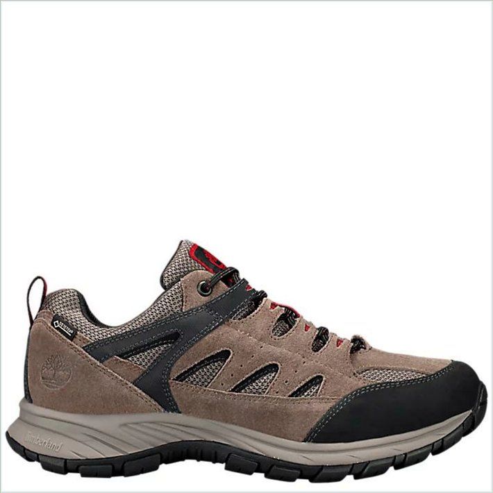  TIMBER Mens Sadler Pass Waterproof Hiking Shoes