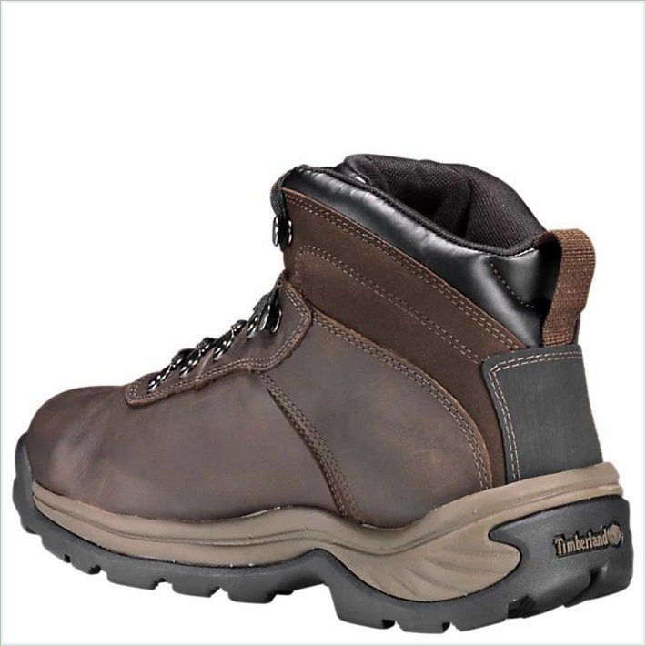  TIMBER Mens Flume Mid Waterproof Hiking Boots