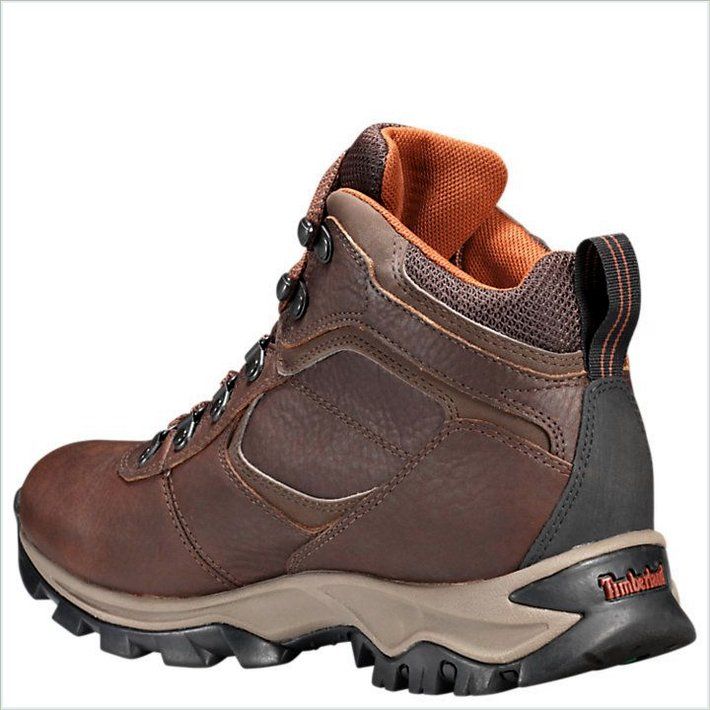  TIMBER Mens Mt. Maddsen Mid Waterproof Hiking Boots