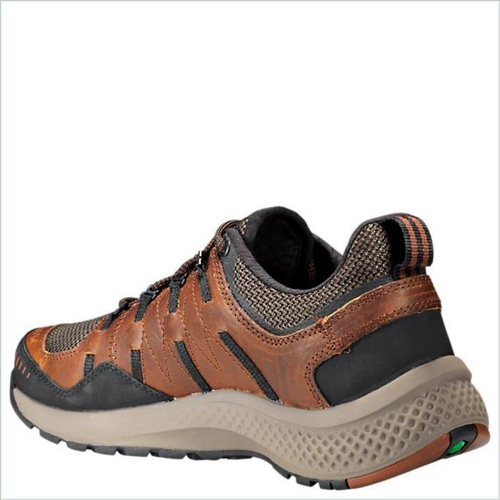  TIMBER Mens FlyRoam Trail Low Leather Sneakers