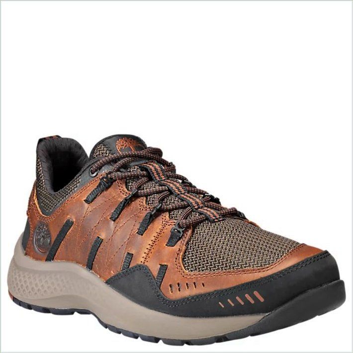  TIMBER Mens FlyRoam Trail Low Leather Sneakers