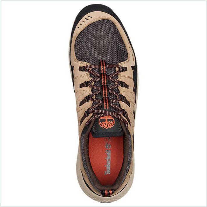  TIMBER Mens FlyRoam Trail Low Leather Sneakers