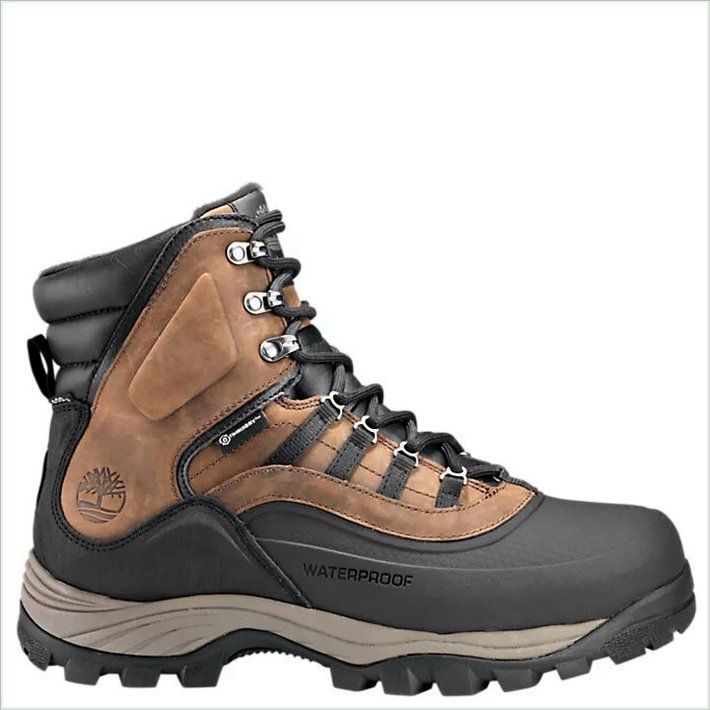  TIMBER Mens Chocorua Trail Shell-Toe Waterproof Hiking Boots