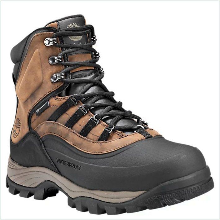  TIMBER Mens Chocorua Trail Shell-Toe Waterproof Hiking Boots