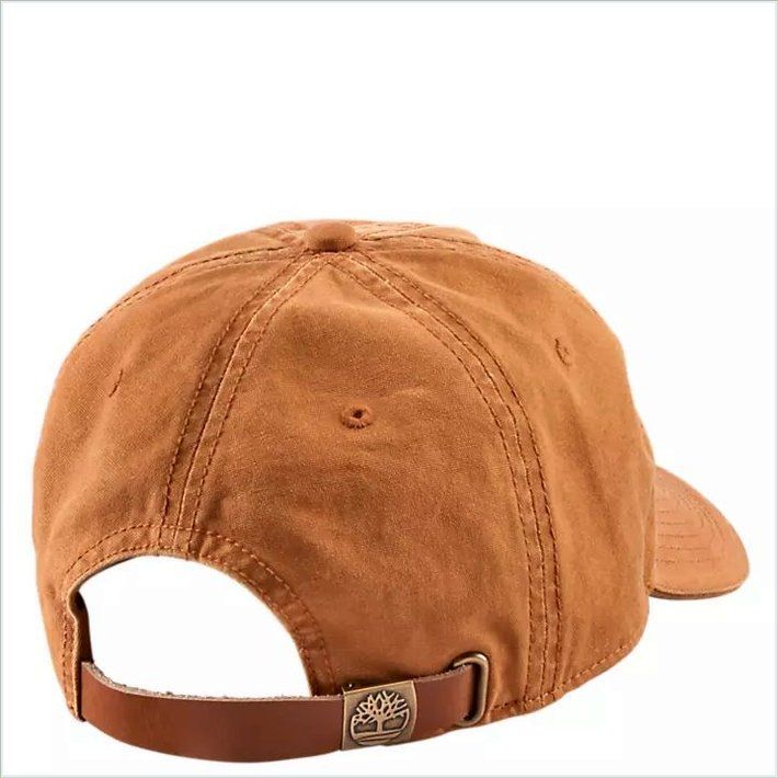  TIMBER Classic Logo Baseball Cap