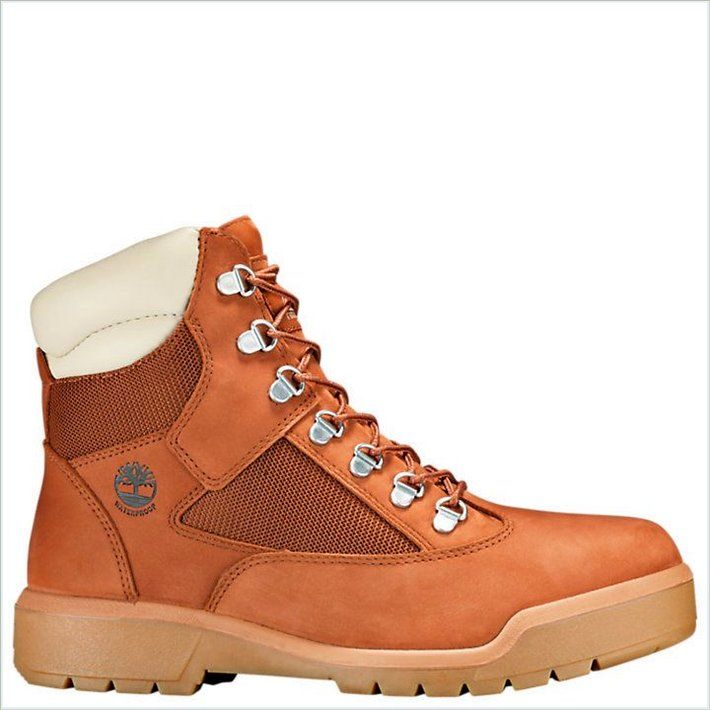  TIMBER Mens 6-Inch Waterproof Field Boots