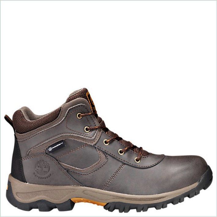  TIMBER Junior Mt. Maddsen Waterproof Hiking Boots