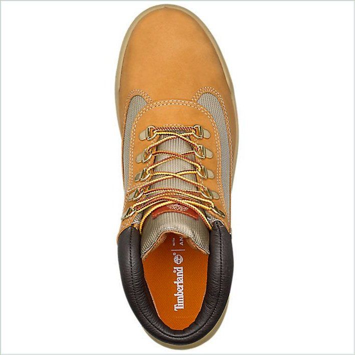  TIMBER Mens Waterproof Field Boots