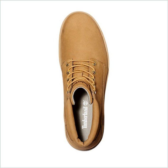  TIMBER Mens Newtonbrook Chukka Boots