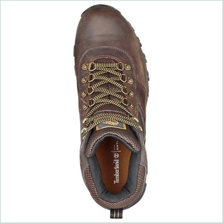  TIMBER Mens Mt. Maddsen Mid Waterproof Hiking Boots