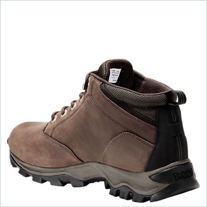  TIMBER Mens Mt. Maddsen Waterproof Chukka Boots