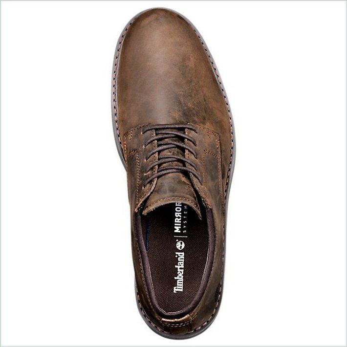  TIMBER Mens Squall Canyon Waterproof Oxford Shoes