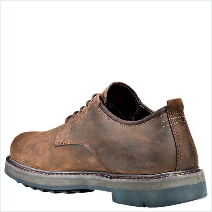  TIMBER Mens Squall Canyon Waterproof Oxford Shoes