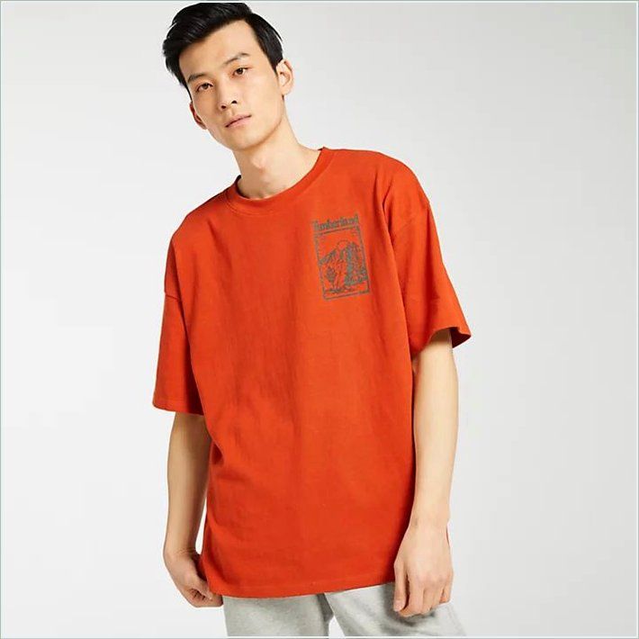  TIMBER Mens Oversized Outdoor-Inspired T-Shirt